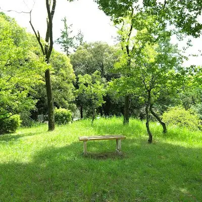 Aoyama