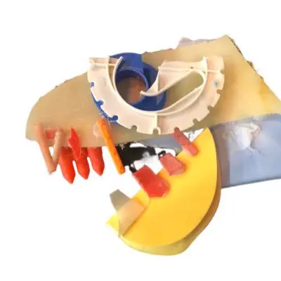 陸のかいぶつと海のかいじゅう