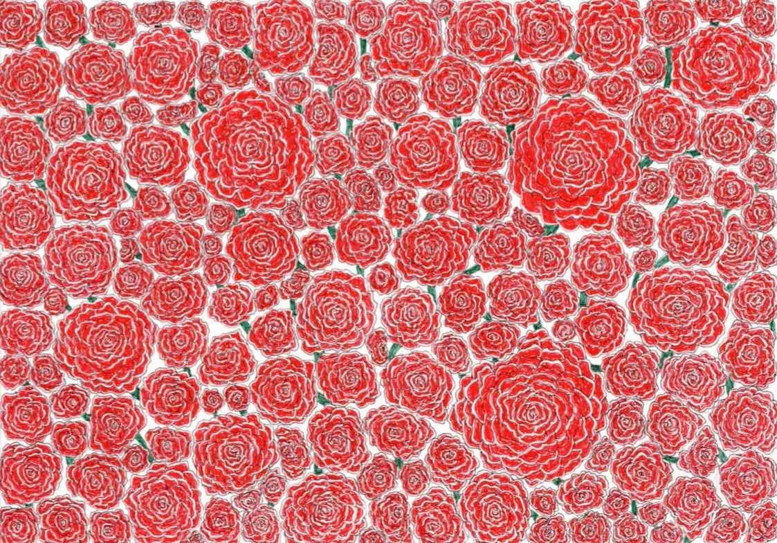 バラの花（しゅんたま）