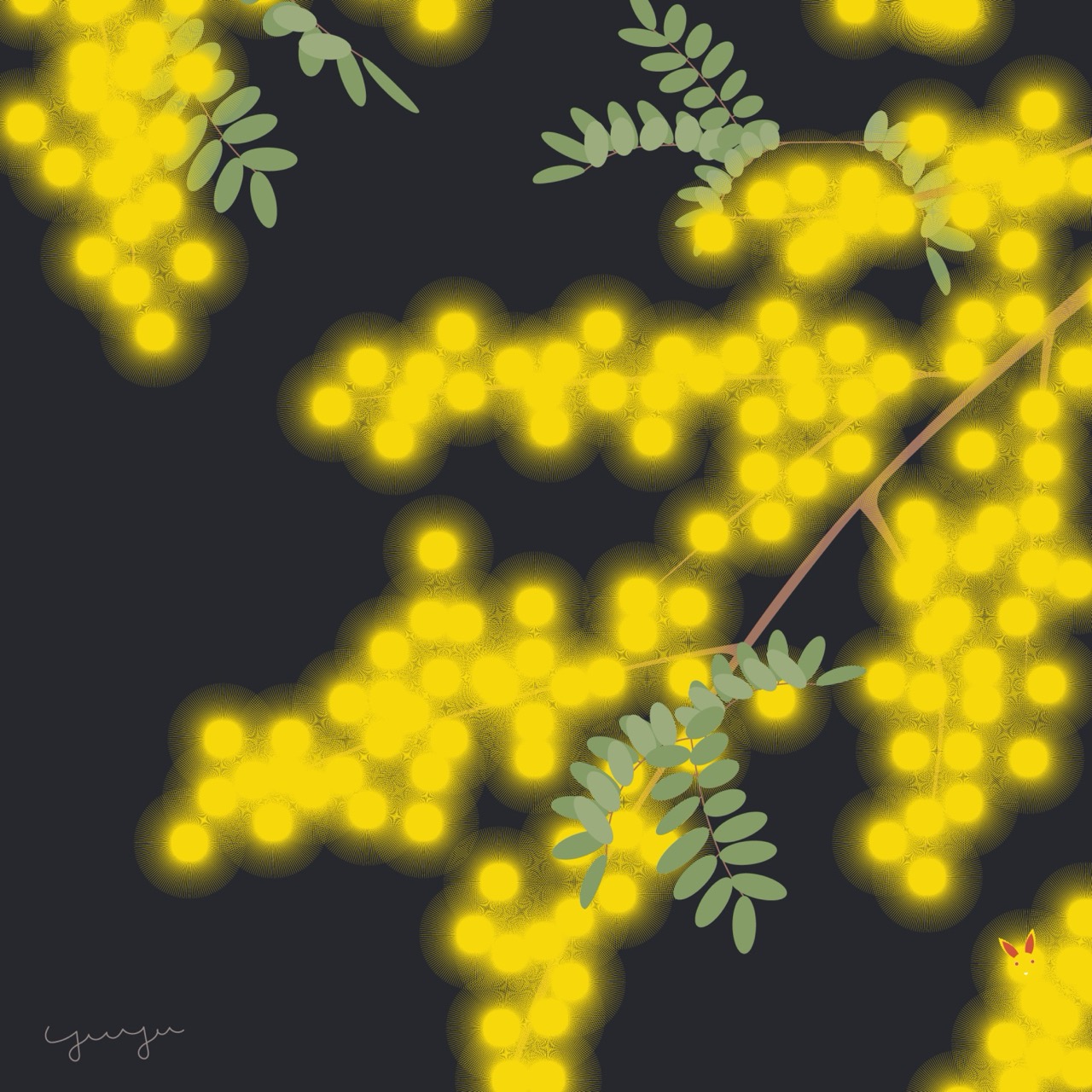 mimosa at night（ゆうゆう。）